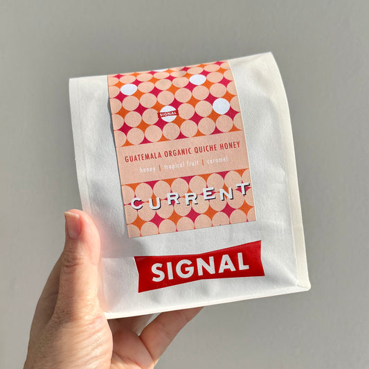 SIGNAL CURRENT - Guatemala Organic Quiché Honey